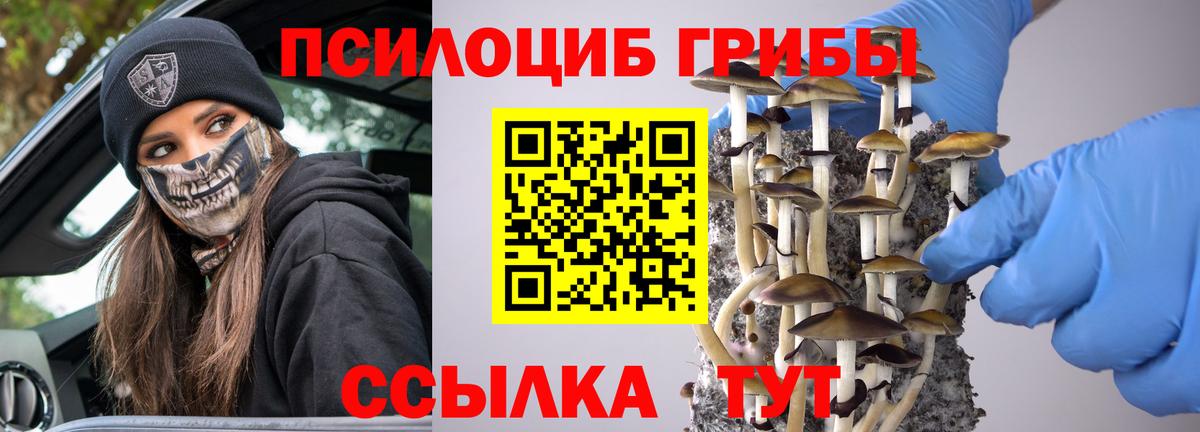 Псилоцибиновые грибы Psilocybine cubensis  Вход с VPN  Аксай 